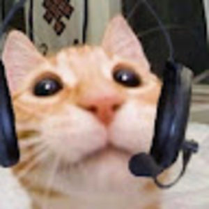 Meet your Posher, Zinnia